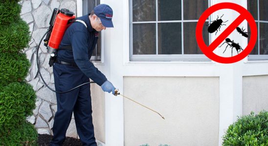 Akçakoca Kemirgen İlaçlama böcek ilaçlama ve haşere kontrolü — ilaclama-tr.com